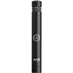 AKG ACOUSTICS P170-MIC | Studio Condenser Mic