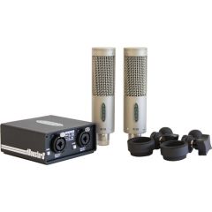 ROYER LABS R10MP/DB22 | Matched Pair R-10 W/ 1x Db22 In-line Dbooster 2 Dual Channel