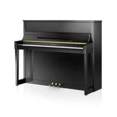 SCHIMMEL C120EM 46