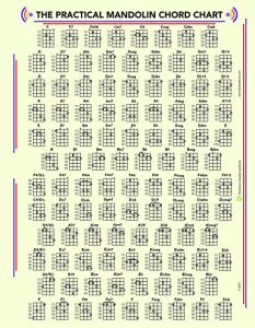 DUCKS DELUXE PRACTICAL Mandolin Chord & Fretboard Chart