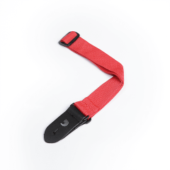 PLANET WAVES PWSUKE301 1.5