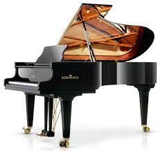 SCHIMMEL K219 7'2