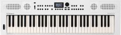 ROLAND GO:KEYS 5 Wh | 61-key Music Creation Keyboard | White