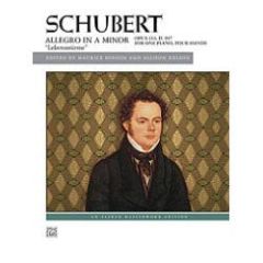 ALFRED SCHUBERT Allegro In A Minor Opus 144 D 947 Lebensturme For Piano Four Hands