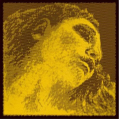 PIRASTRO EVAH Pirazzi Gold Violin Single D String