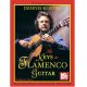 MEL BAY THE Keys To Flamenco Guiar Volume 1 With Dennis Koster Cd Included