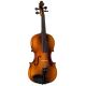 PREMIUM Viola 15