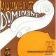 DOMINANT NO.133 G - Silver Wound Violin String (size 1/4)