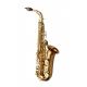 YANAGISAWA WO Series Elite Model Professional Alto Saxophone All Bronze
