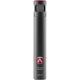 AUSTRIAN AUDIO CC8-SC | Supercardioid True Condenser Microphone