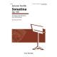 CARL FISCHER ANTONIN Dvorak Sonatina Op. 100 For Viola & Piano Arranged By Kim Kashkashian