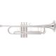 B&S 3137 Reverse Leadpipe Challenger Ii Series B-flat Professional Trumpet(silver)