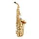 JUPITER JAS1100Q Intermediate Alto Saxophone (gold Lacquered)