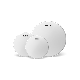 EVANS UV2 Tom Pack Rock Double Ply Coated 10/12/16 Inch