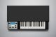 MELLOTRON M4000D Black | 37 Note Mellotron Style Wooden Keyboard