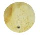 GROOVE MASTERS PERC GSPRO-65 Premium Goat Skin 22-inch Diameter