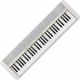 CASIO CT-S1WE 61-key Electric Keyboard -  White