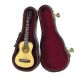MUSIC TREASURES CO. MINIATURE Acoustic Guitar With Case