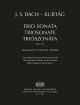EDITIO MUSICA BUDAPE BACH Trio Sonata Bwv 525 First Movement For Piano Duet Three Hands