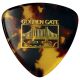 GOLDEN GATE MP-10 Deluxe Tortoise Style Mandolin Pick Large Triangle (each)