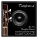 TANGLEWOOD ACOUSTIC Bass Strings Coated 40-95 Phosphor Bronze