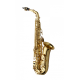 YANAGISAWA WO Series Elite Model Professional Alto Saxophone Gold Lacquered