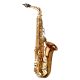 YANAGISAWA WO Series Professional Alto Saxophone All Bronze