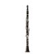 BUFFET CRAMPON FESTIVAL B-flat Professional Clarinet, Greenline