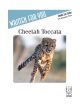 FJH MUSIC COMPANY CHEETAH Toccata By Emilie Lin