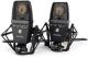 SE ELECTRONICS SE4400ASP | Factory Matched Pair Of Se4400a W/ Mount & Case