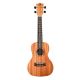 TWISTED WOOD TO-100T Tw Original Laminate Mahogany Tenor Ukulele With Padded Gig Bag