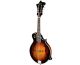 EASTMAN MD515/TV-WN-SB Wide Neck F-style Mandolin Vintage Sunburst