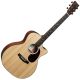 MARTIN GPC-11E Acoustic Guitar