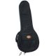 SUPERIOR C-3770 Superior Trail Pak Ii Bag For A-model Mandolin