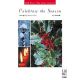 FJH MUSIC COMPANY CELEBRATE The Season Late Elementary Piano Arranged By Kevin Costley