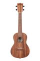 KALA KA-TEAK-C Teak Series Concert Ukulele