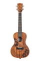 KALA KA-UNITY-C Voyage Collection Unity Concert Ukulele