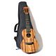 TWISTED WOOD KO-1000C Solid Koa Concert Ukulele With Gig Bag