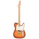 FENDER AMERICAN Performer Telecaster Limited Edition Timber Honey Burst Mp