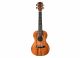 TWISTED WOOD RR-200C Rock Roots Solid Mahogany Concert Ukulele