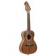 ORTEGA RUWN Horizon Series Walnut Top Concert Ukulele