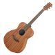 YAMAHA STORIA Ii Acoustic Guitar