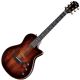 TAYLOR T5Z Custom Koa Guitar