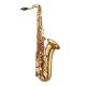ANTIGUA PRO One Series Professional Tenor Saxophone Designed By Peter Ponzol - Display