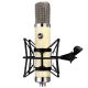 WARM AUDIO WA-251 | Vacuum Tube Condenser Microphone W/ Multiple Polar Patterns