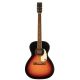 GRETSCH JIM Dandy Concert Rex Burst