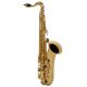YAMAHA YTS580AL Allegro Model Tenor Sax