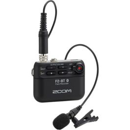 f2_bt_with_mic.jpg