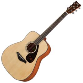 FG800M ACOUSTIC GUITAR MATTE FINISH | Tom Lee Music