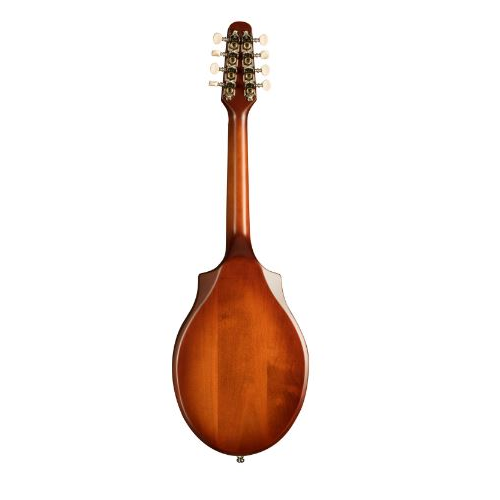 S8 ACOUSTIC MANDOLIN, BURNT UMBER SEMI GLOSS | Tom Lee Music